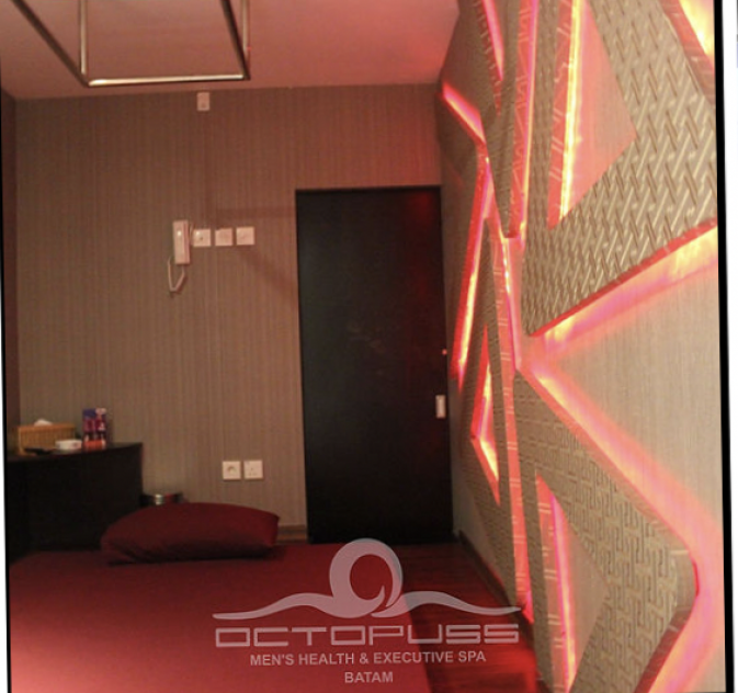 Octopuss Men's Health And Executive Spa (Batam) picture